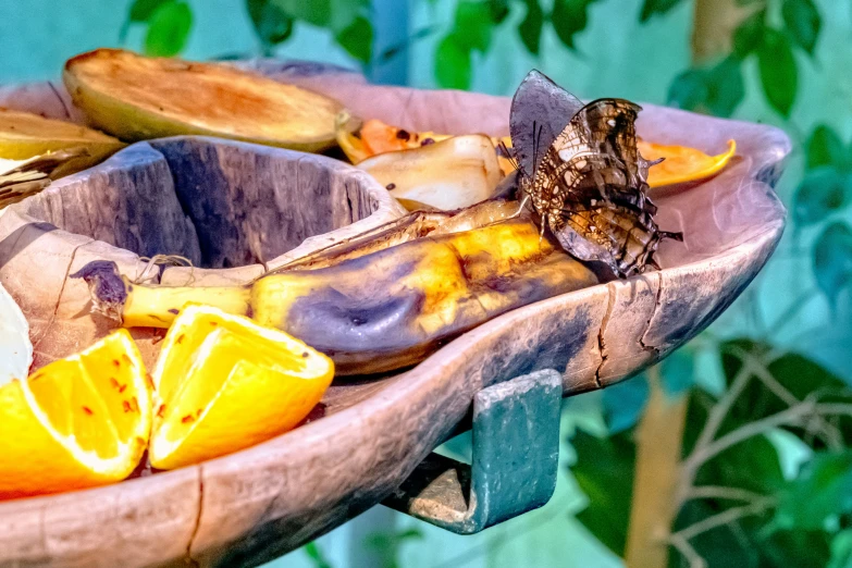 an assortment of rotten and rotten fruit in a wooden bowl