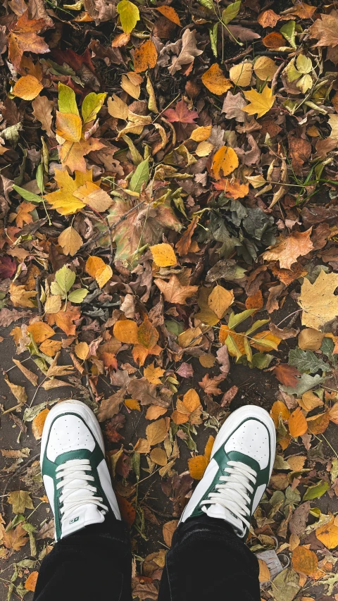 a white and green pair of shoes sitting on a leaf covered ground