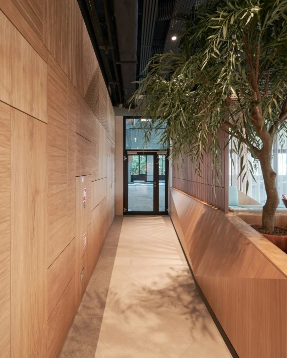 a long hallway with a wooden wall and a small tree