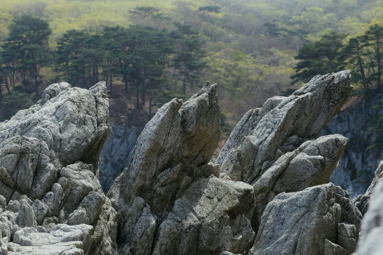 a bunch of very large rocks near some trees