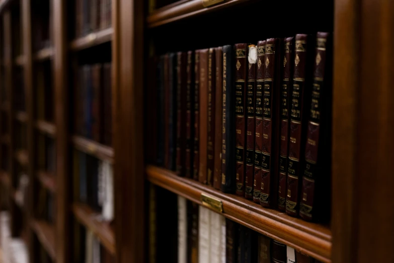 books are placed in the wood book shelves