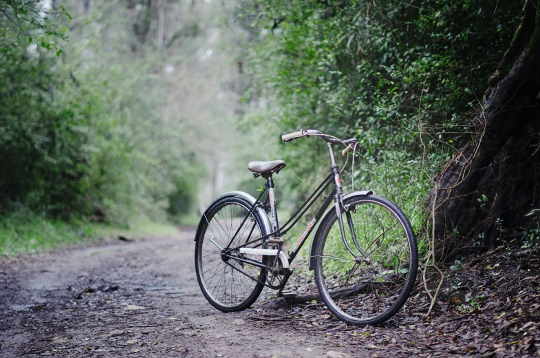 an old bike parked in the middle of the road next to trees