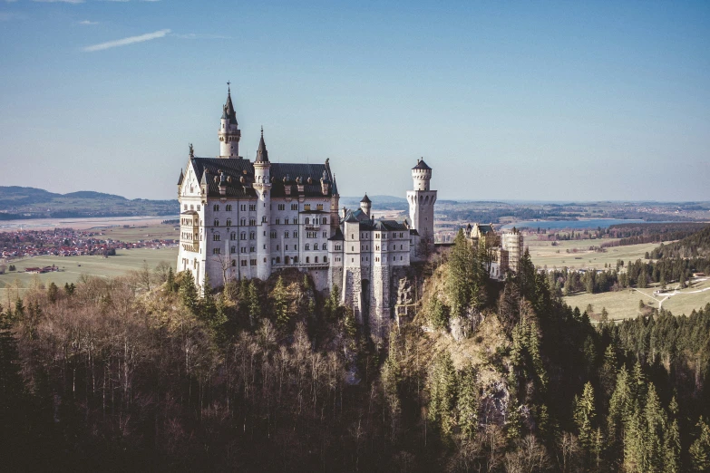 a big castle that is sitting in the middle of some trees