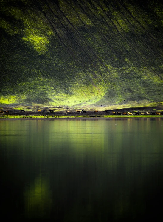 some green and white trees in the distance over a large body of water