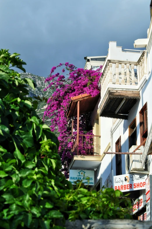 buildings with flowers growing outside windows and street signs