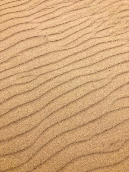 some sand with a small wave in it