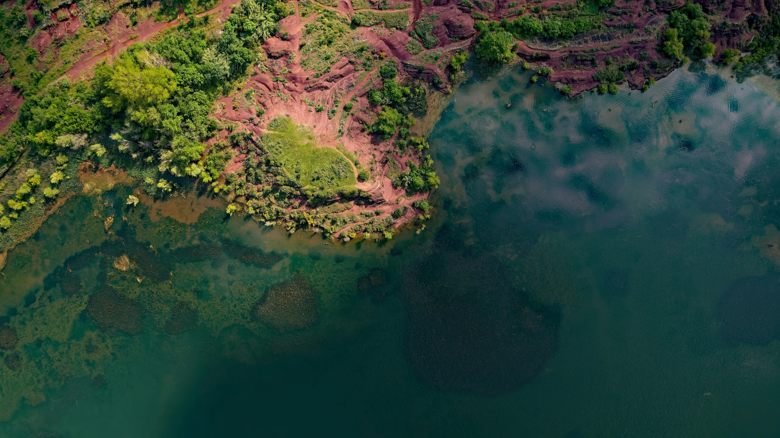 a small body of water surrounded by lush green trees