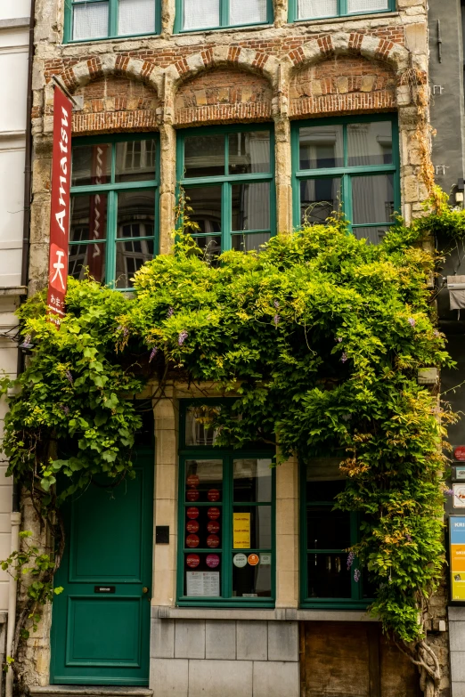 a building with some ivy and a bicycle on a sidewalk