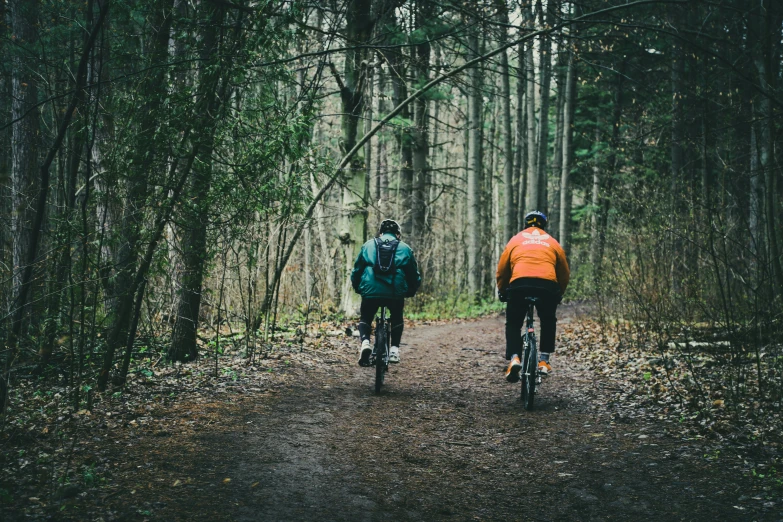 two bicyclists ride down a wooded path in the middle of the woods