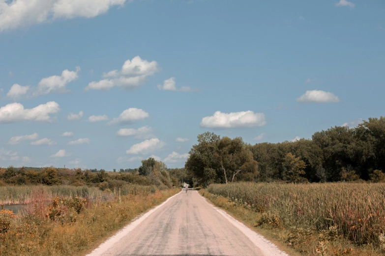 a paved road passing through a grassy field