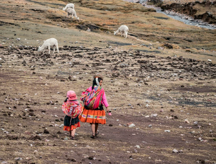 two young women walking with some sheep in the distance