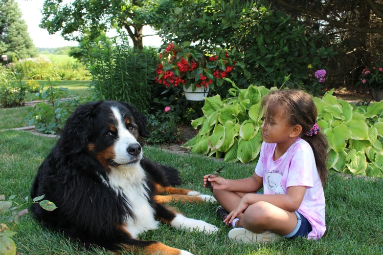 a little girl with two black and brown dogs