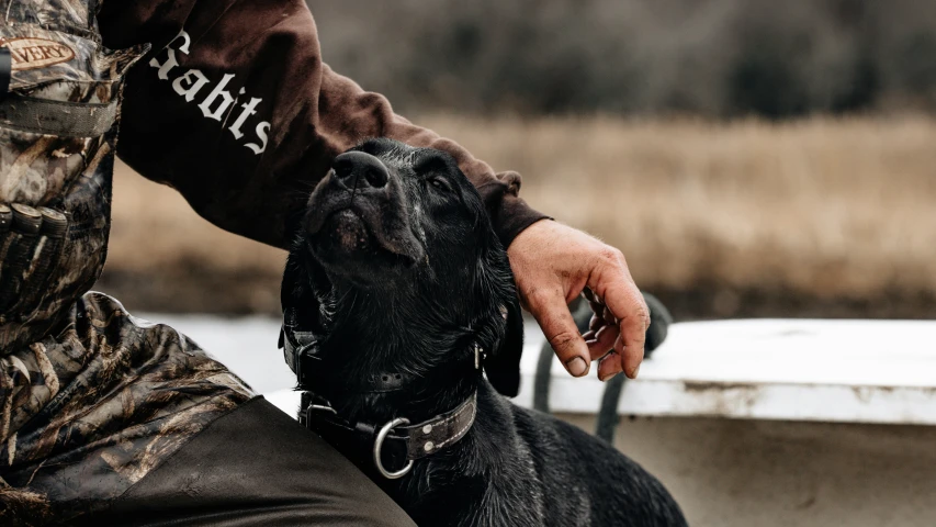 a dog has its head around a person's hand