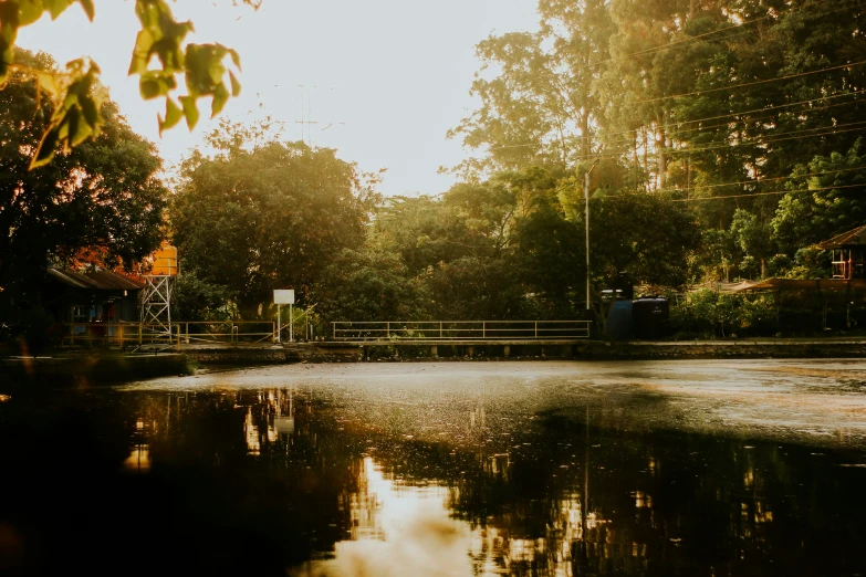 the sun shines on the surface of water