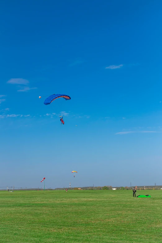 people are flying kites in the air in a field