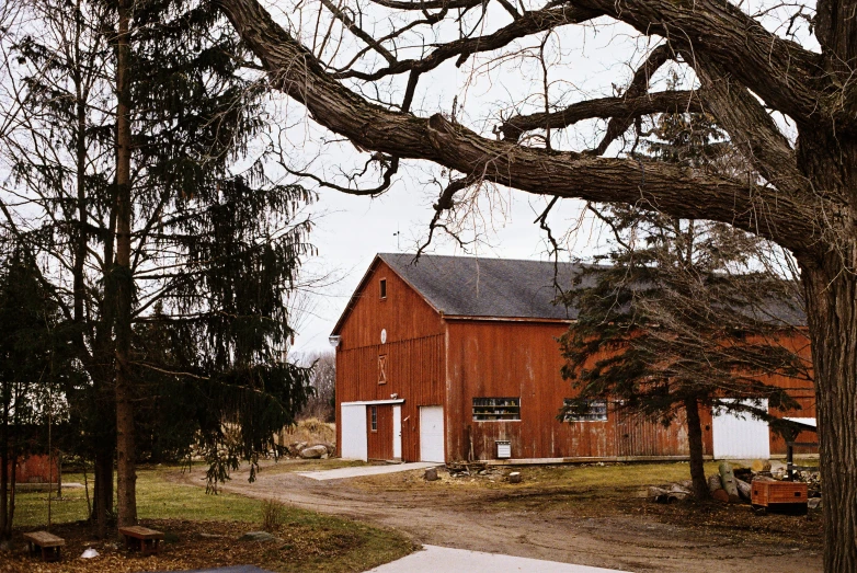 a red barn is next to tall tree and dirt road