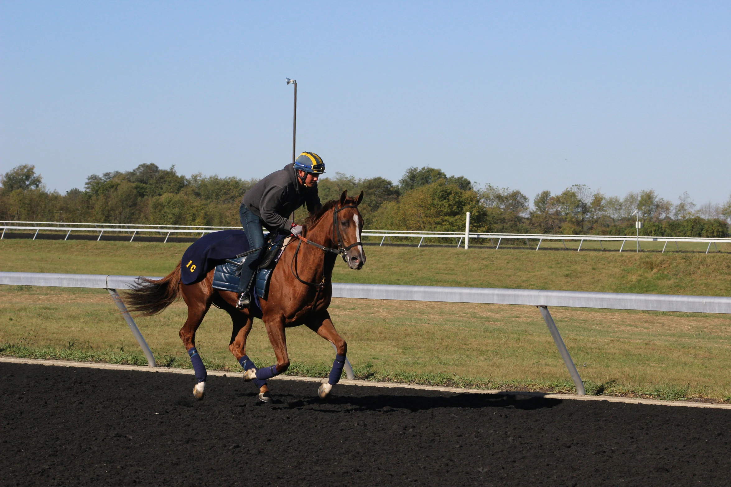 the jockey is riding his horse on the track