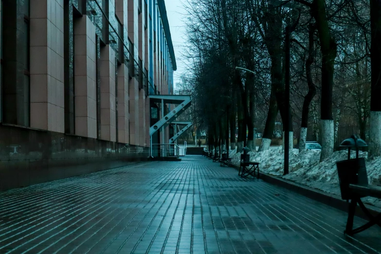 some benches are sitting by the trees and the sidewalk