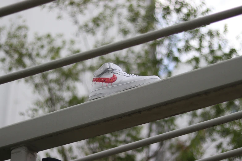 the shoe is standing on the ledge next to the tree