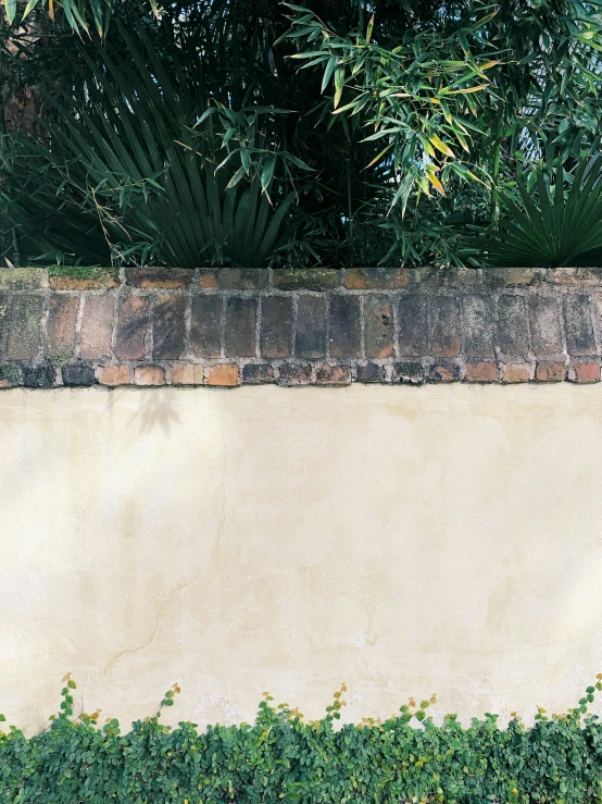 a bench in the middle of some plants