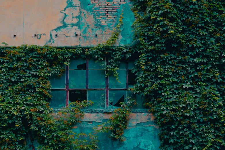 an old window covered in ivy next to an old wall