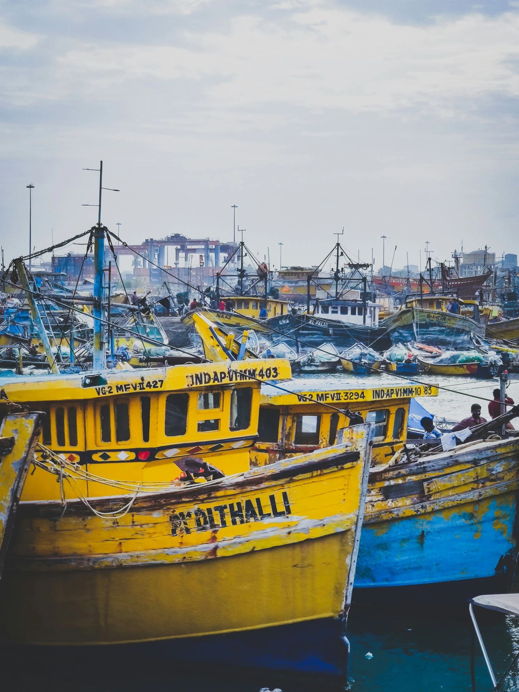 a group of boats docked in a harbor