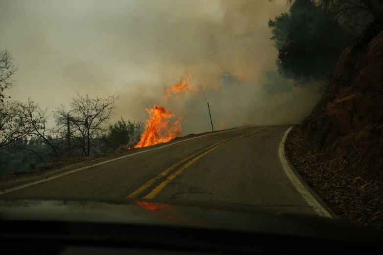 a very large blaze on the road near some trees