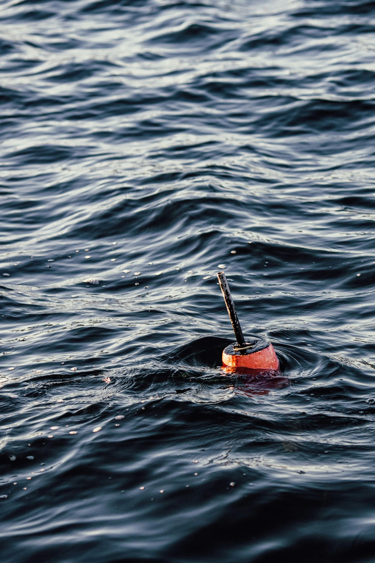 a man is rowing in the water