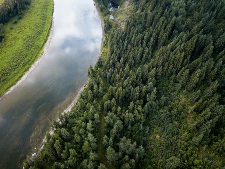 an aerial view of a lake in a forested area