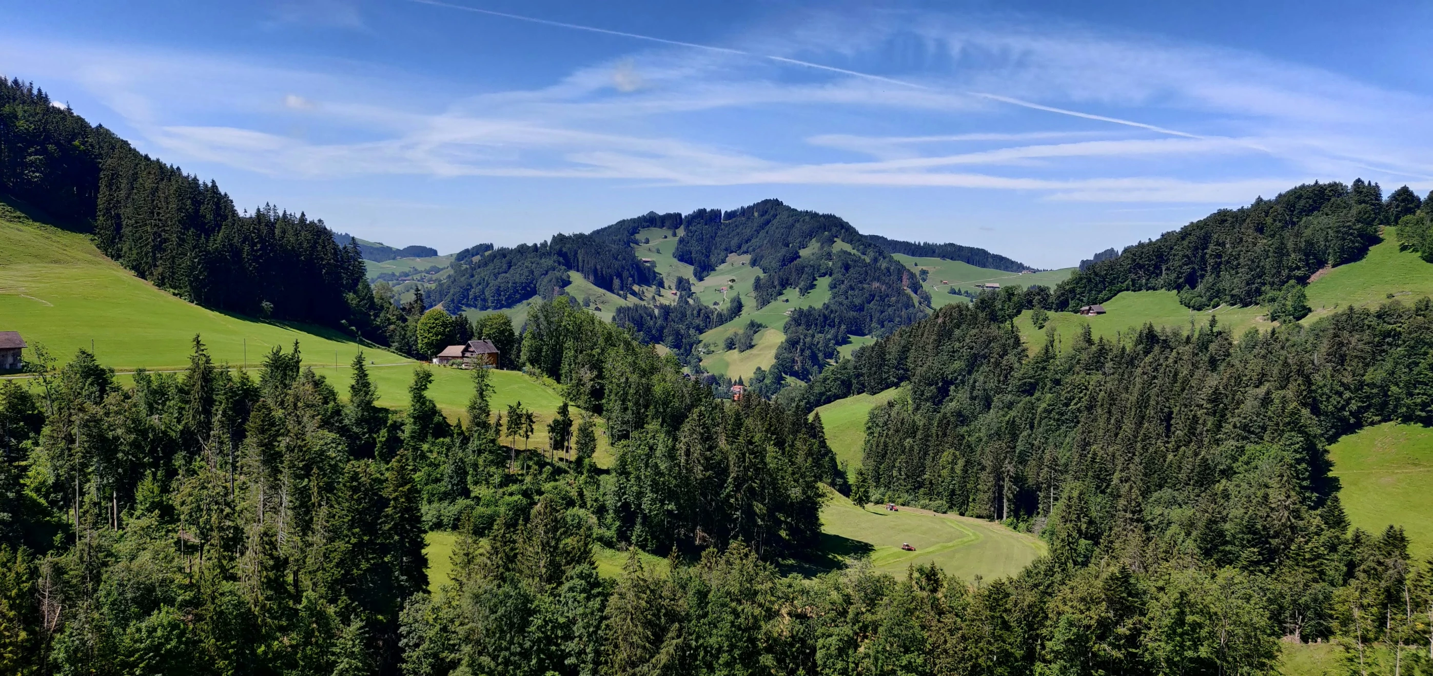 a lush green hillside surrounded by wooded hillside