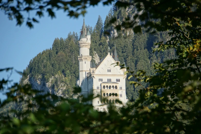 a clock tower sitting above a forest full of trees