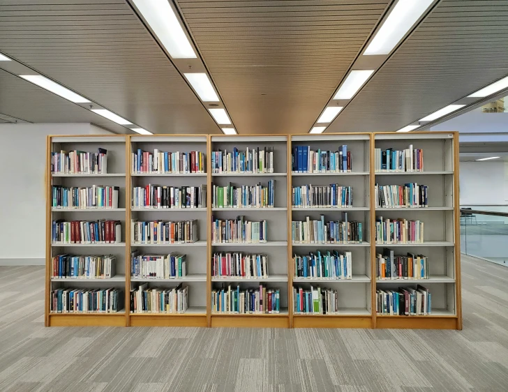 this is a liry with many books on bookshelves