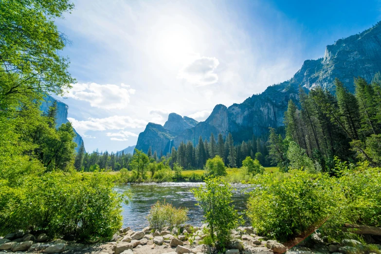 a river running through a forest next to mountains