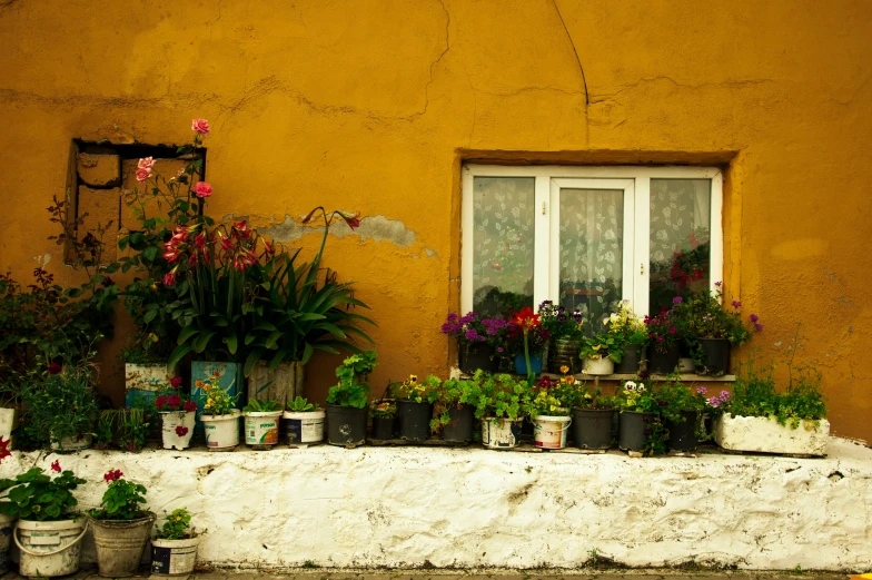 several potted plants and flowers sitting outside of an orange building