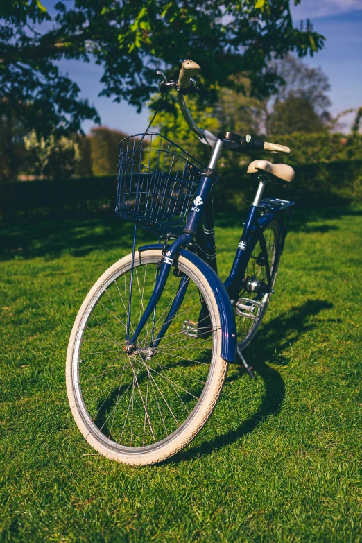 a blue bicycle is  up on the grass