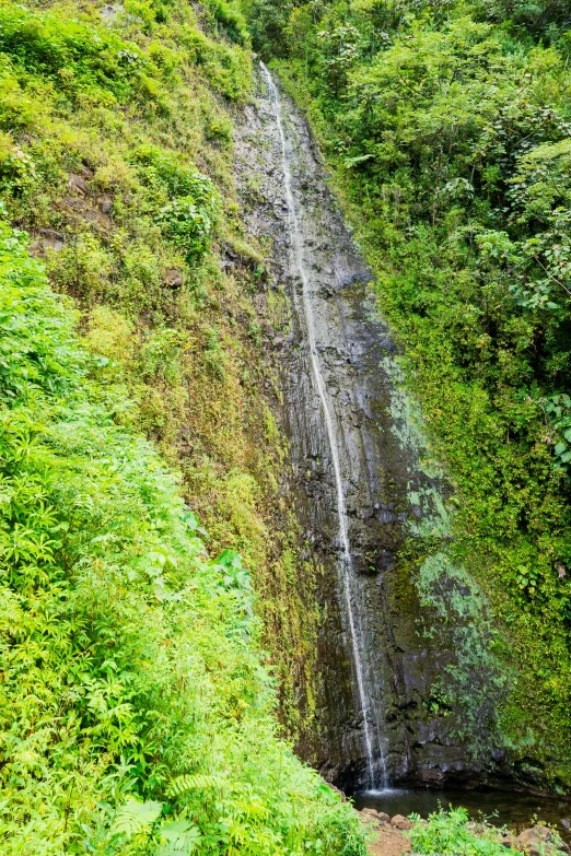 a view of a waterfall in the middle of the woods