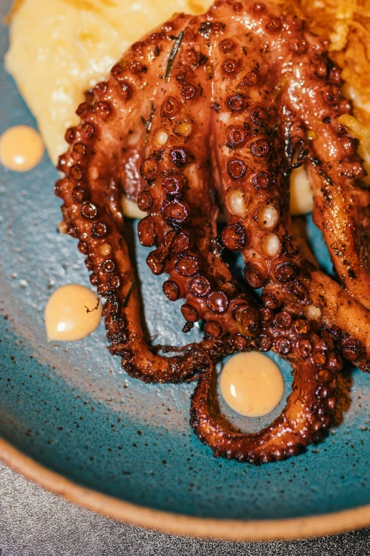 an octo and mash potato on a plate