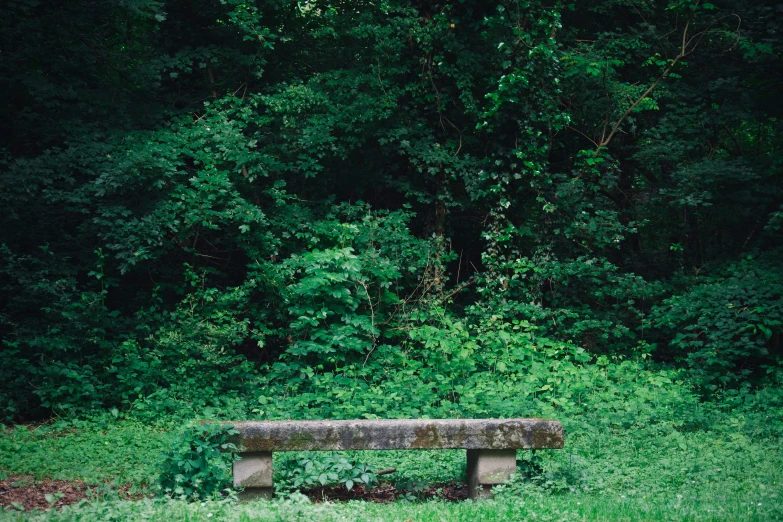 a stone bench sitting in the middle of a grass covered field