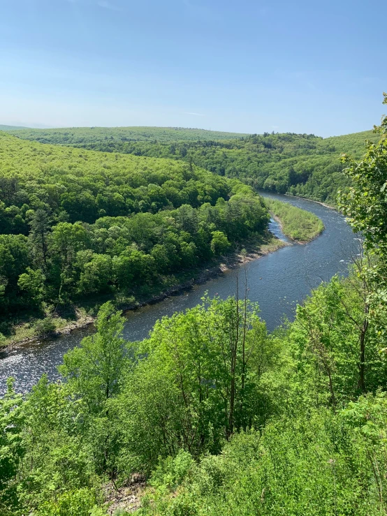 a river running through a lush green forest