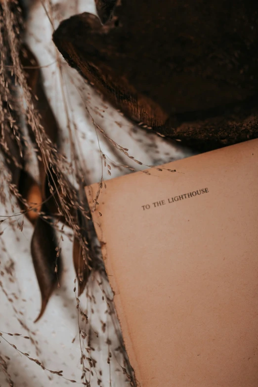 an old book sitting on a sheet next to vines