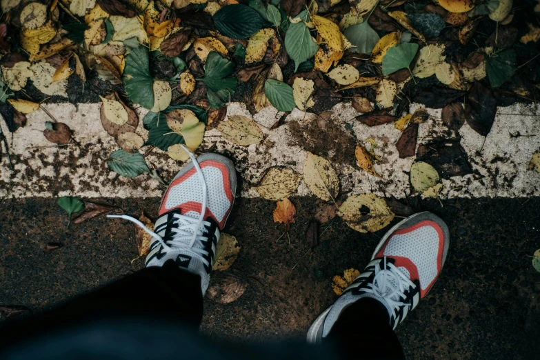 feet wearing sneakers next to a floor with leaves