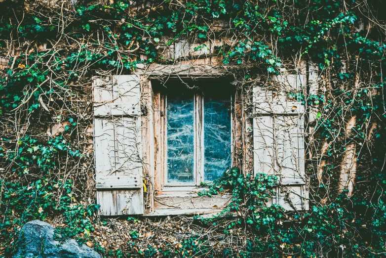 a window covered in ivy with a stone frame