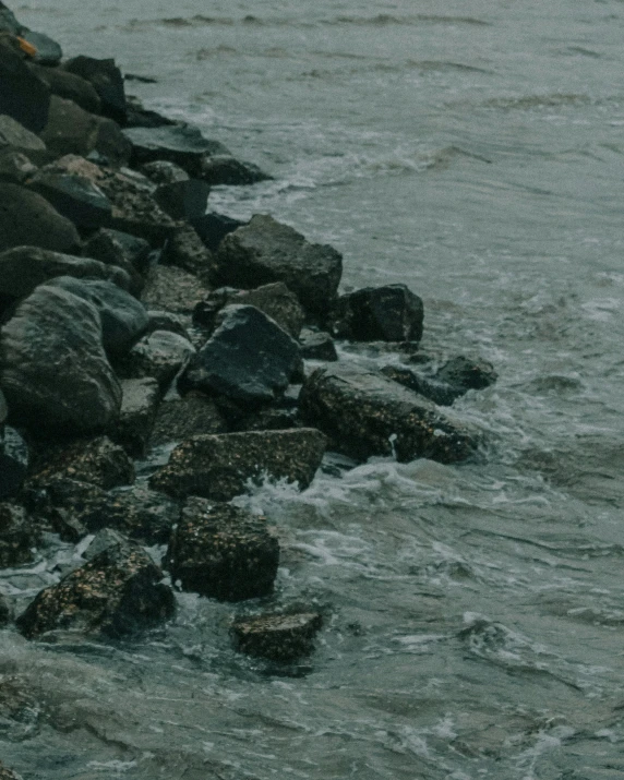 two bears walking in the water along a rocky shore