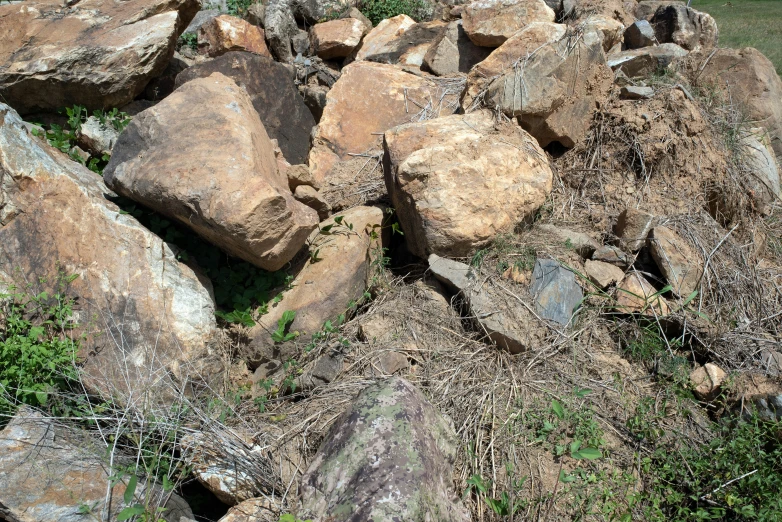 a bunch of rocks in the ground