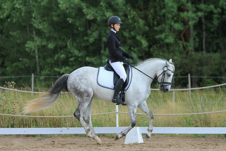 a woman riding on the back of a white horse