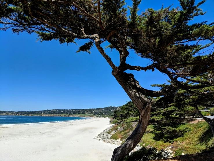 a view from the ground of a white beach