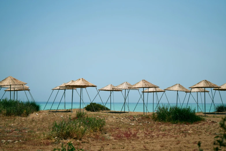 a field that has some straw umbrellas on it