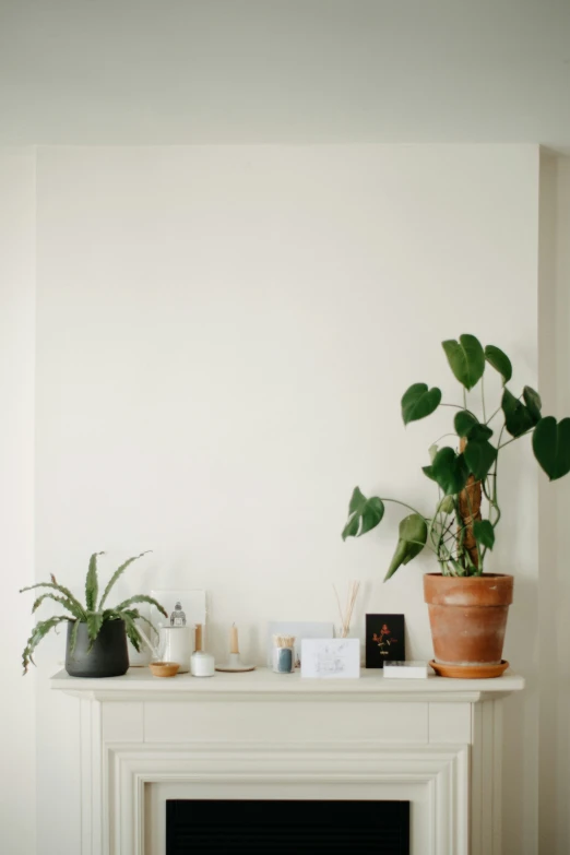 potted plants and a plant on top of a fireplace