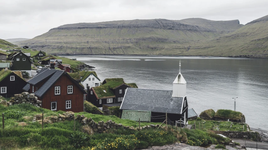 a field next to a body of water with homes on the hill