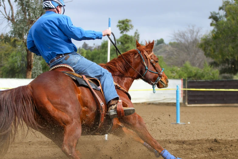 a person rides a horse that is attempting to make contact with the camera